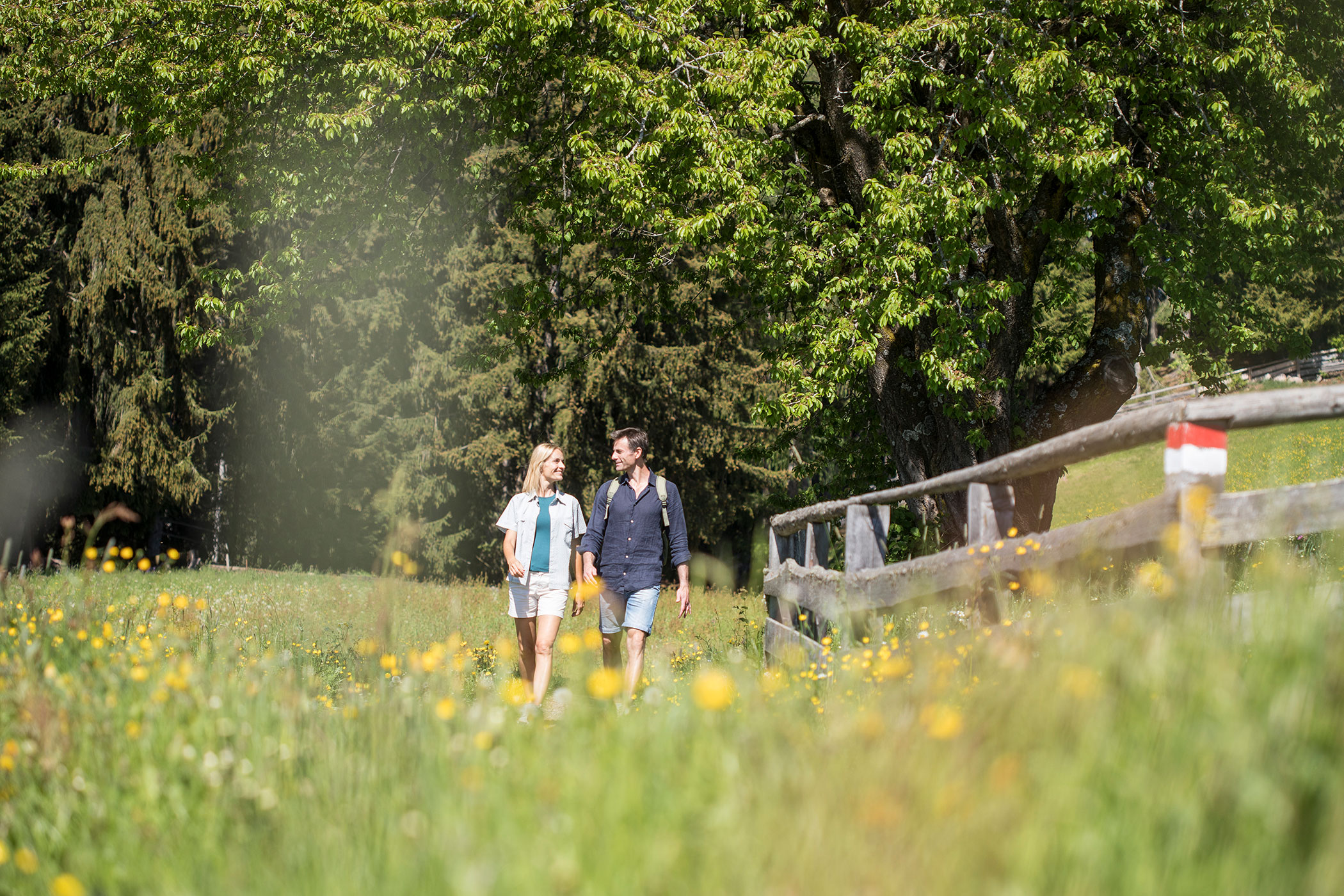 Hiking in Hafling - Hotel Hirzer