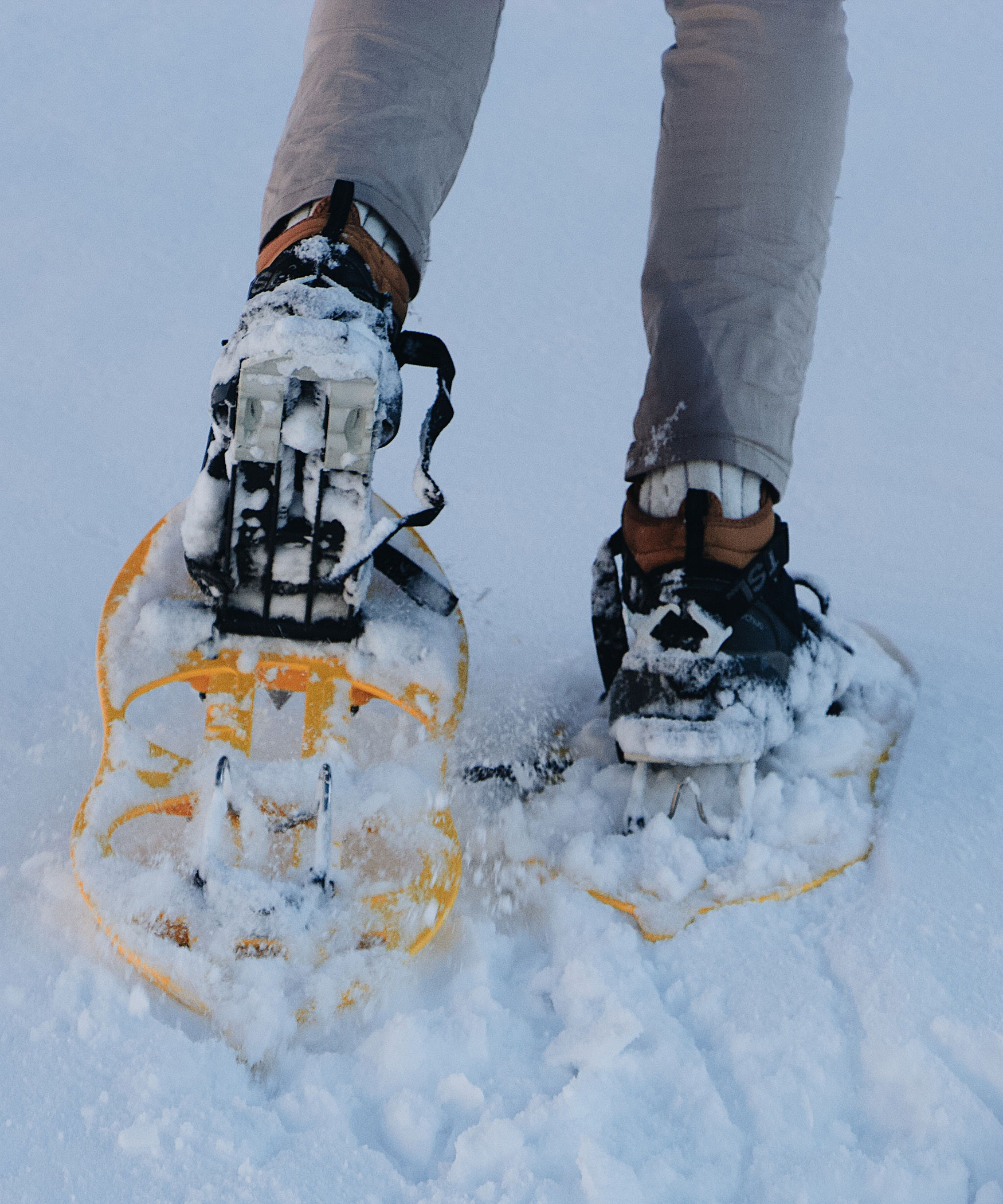 Snowshoeing