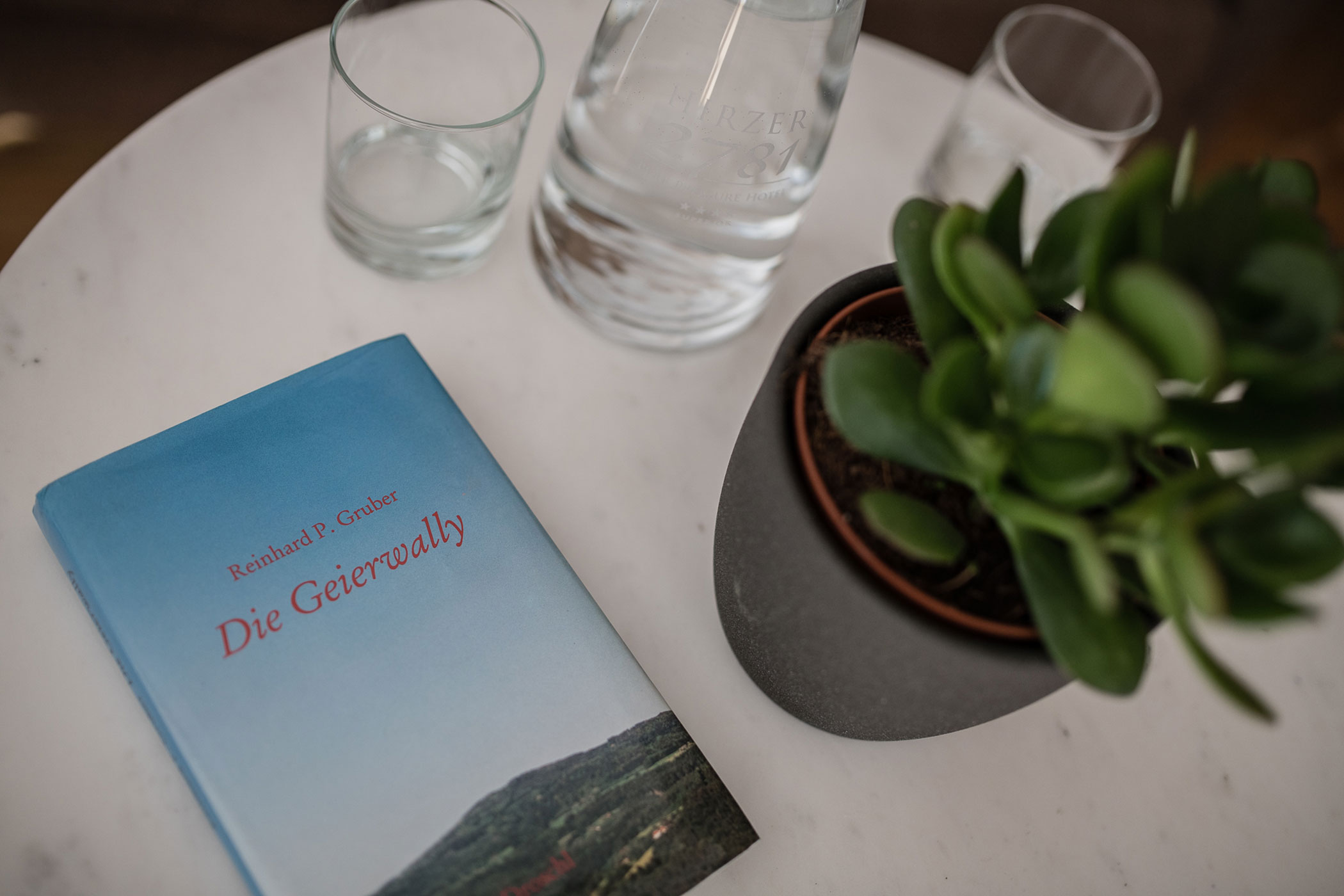 Detail plant - Hotel Hirzer