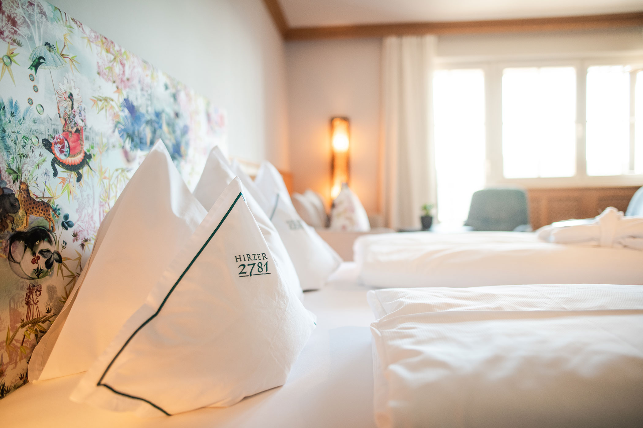 Suite Mountain Design