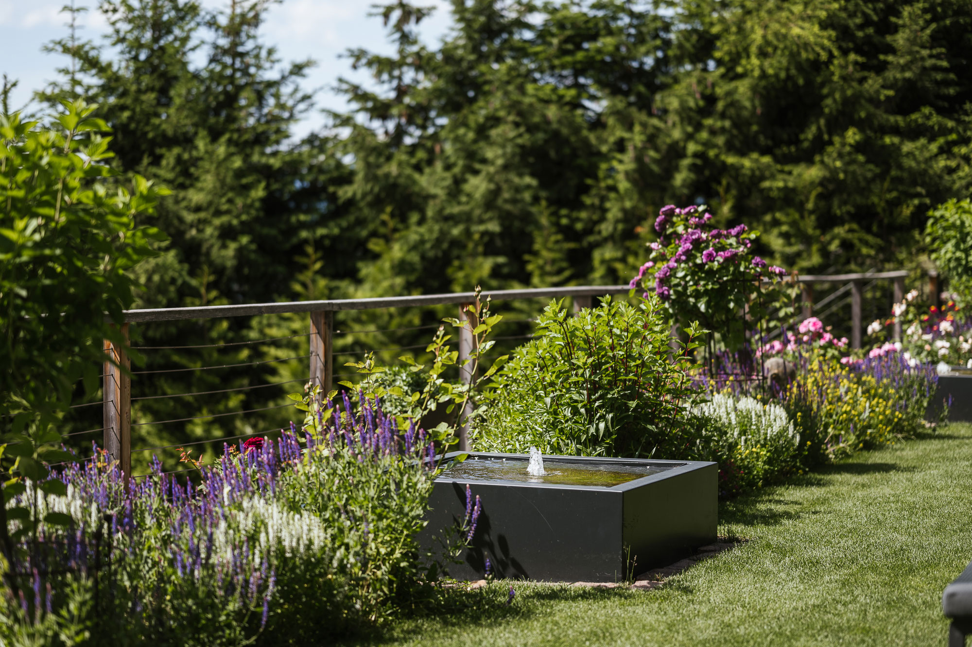 Relax in the sun garden