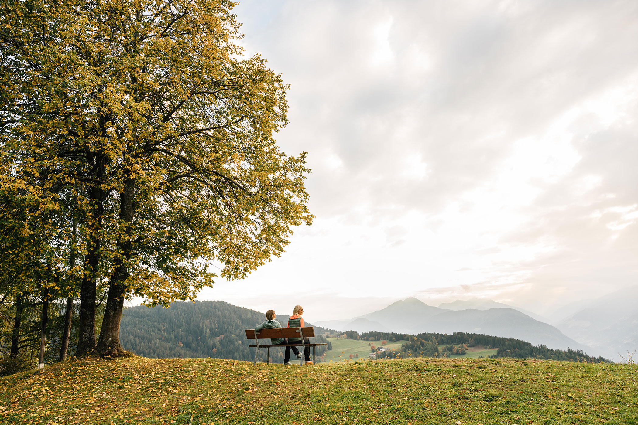 Törggele in South Tyrol