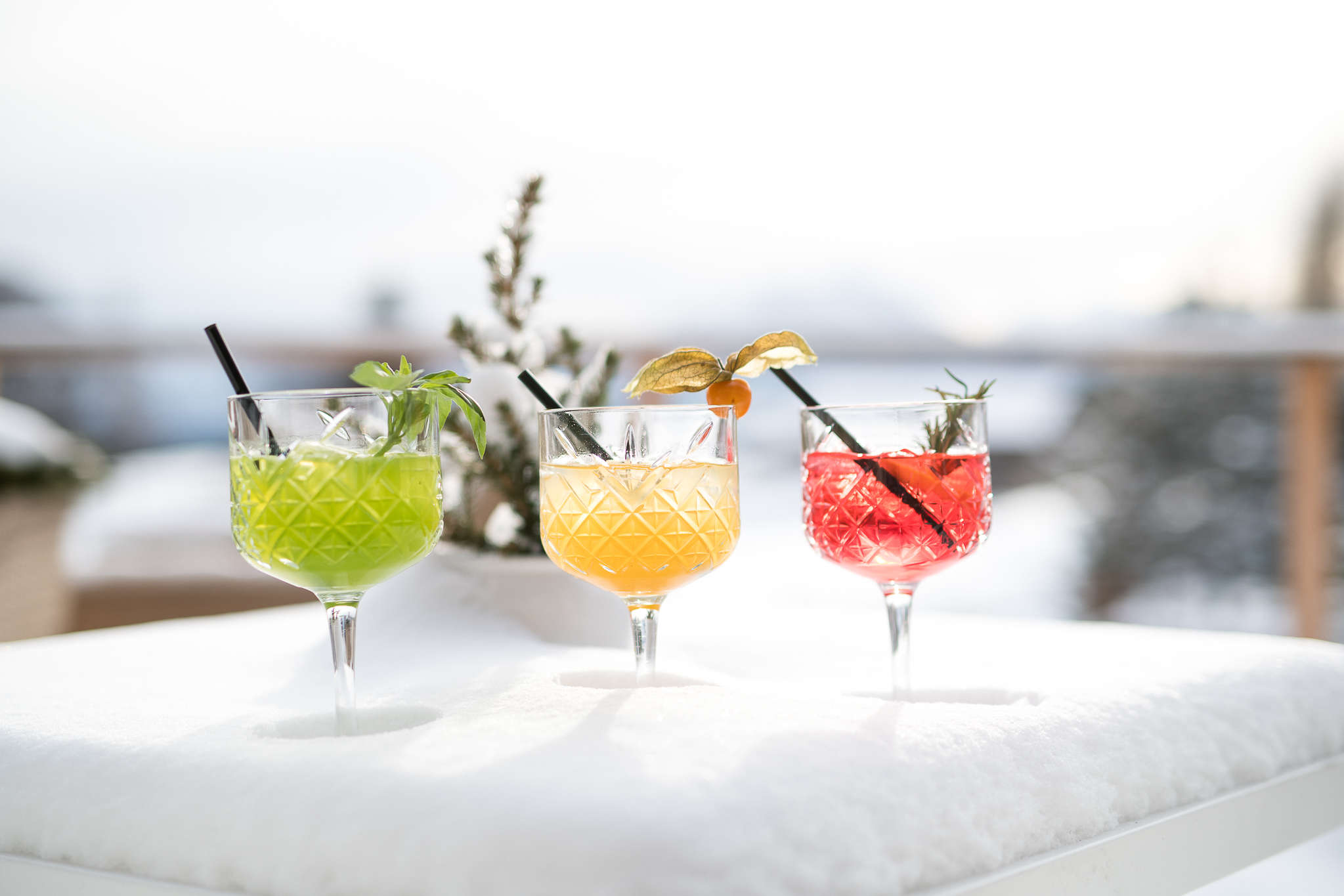 Vacanze di Carnevale